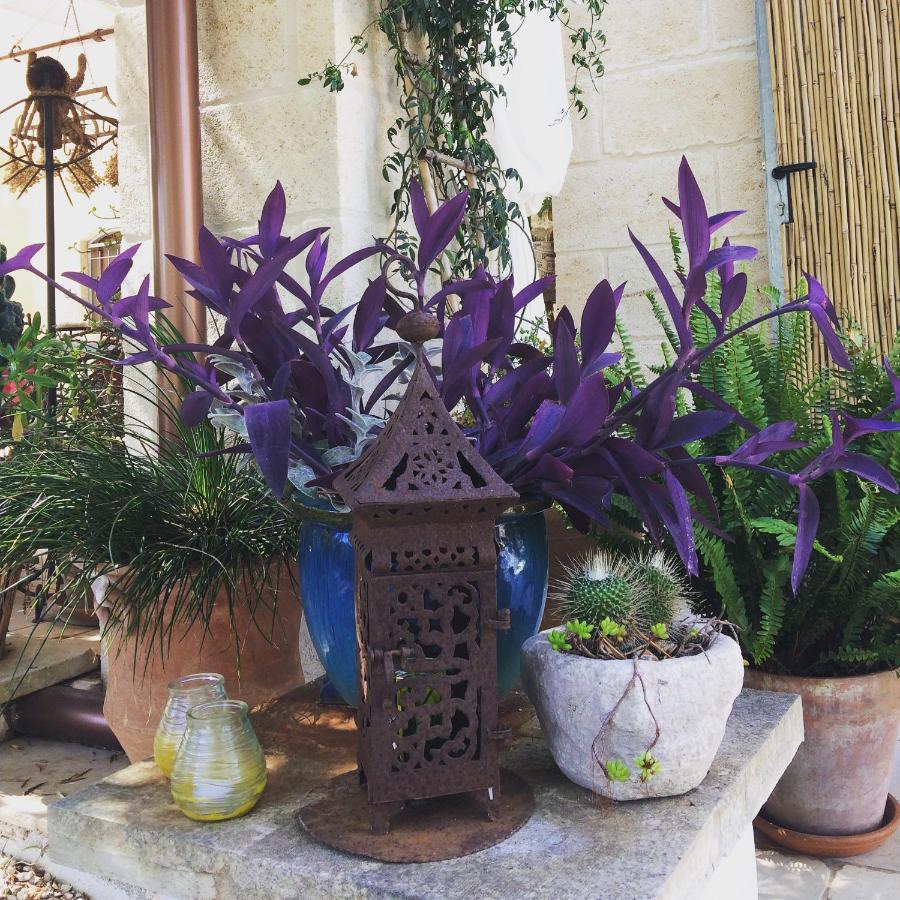 Casa Della Scrittrice Bed and Breakfast Ostuni Exteriör bild