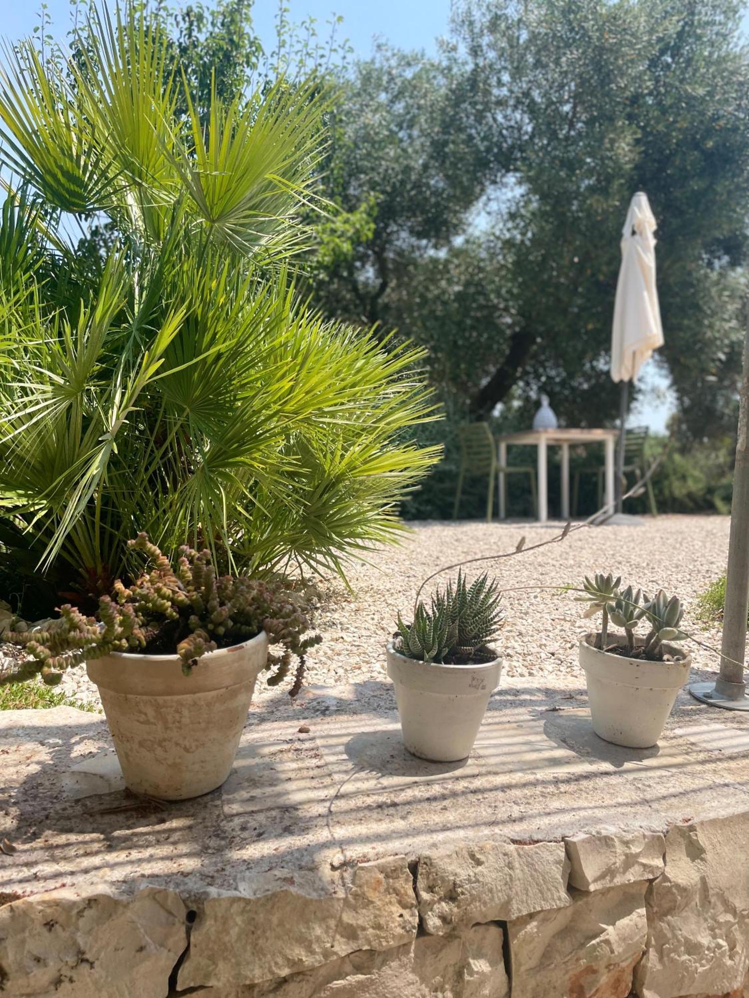 Casa Della Scrittrice Bed and Breakfast Ostuni Rum bild